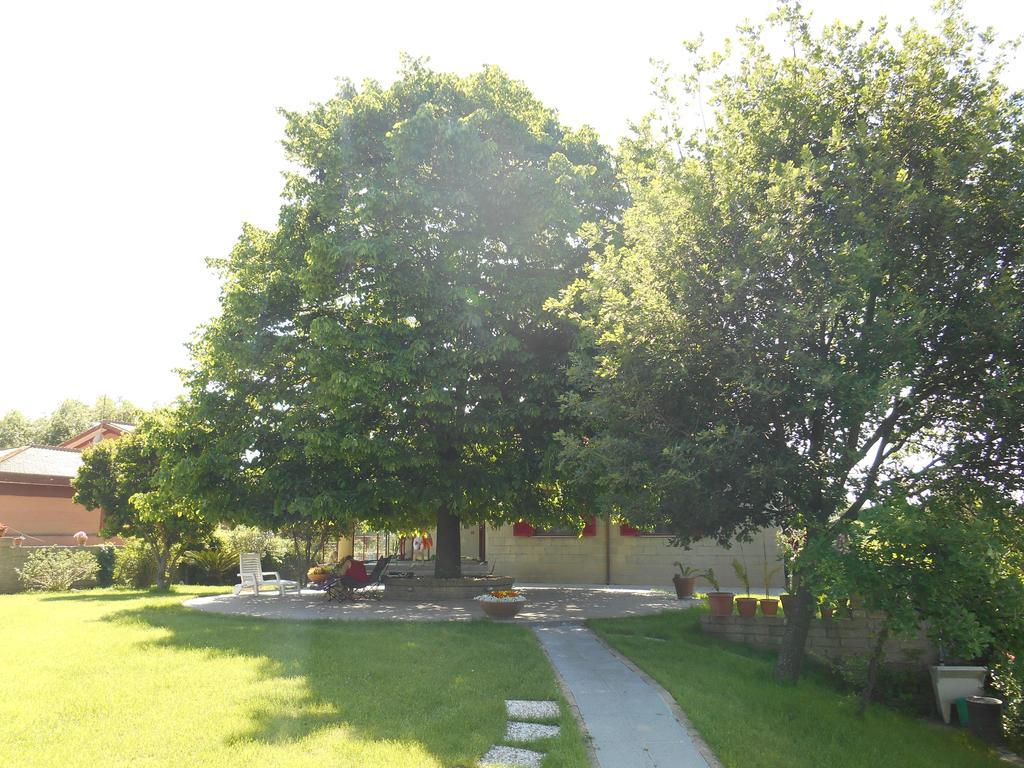 Bed and Breakfast Casale Del Tiglio Черветері Номер фото