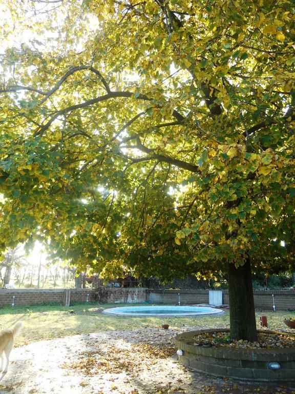 Bed and Breakfast Casale Del Tiglio Черветері Номер фото