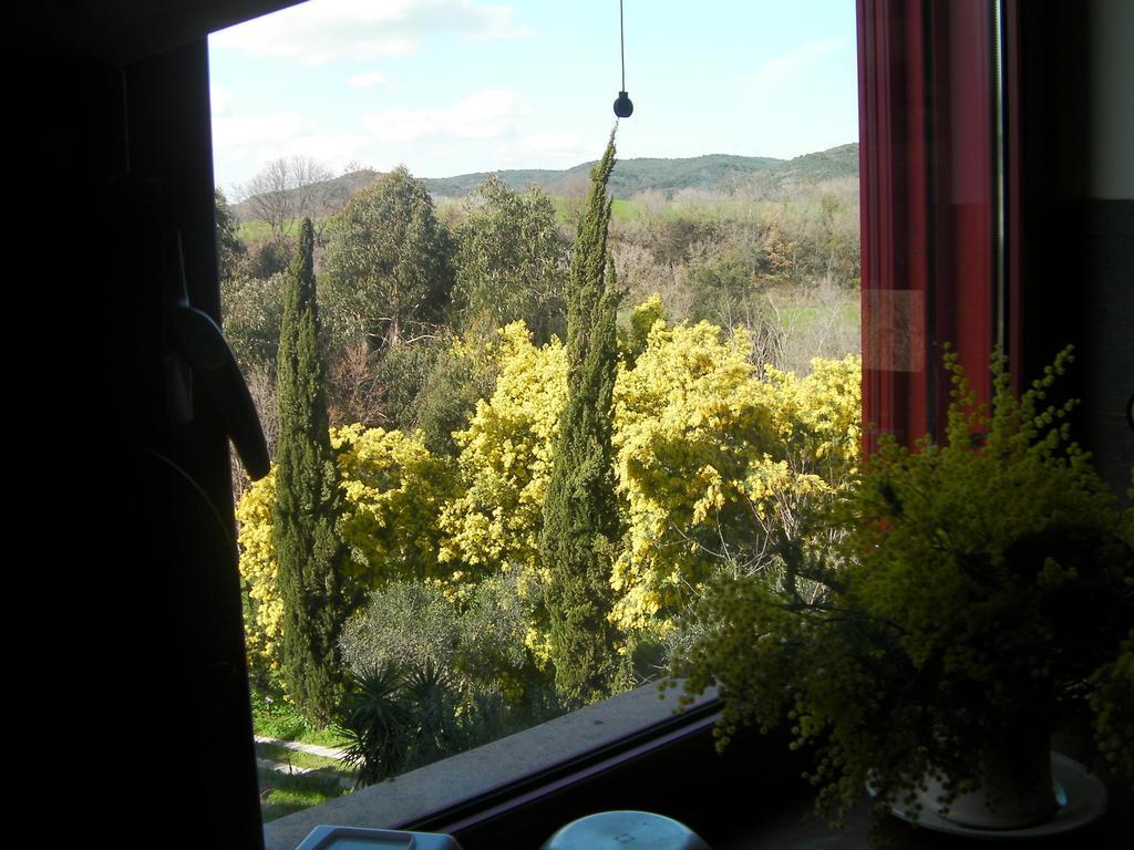 Bed and Breakfast Casale Del Tiglio Черветері Номер фото